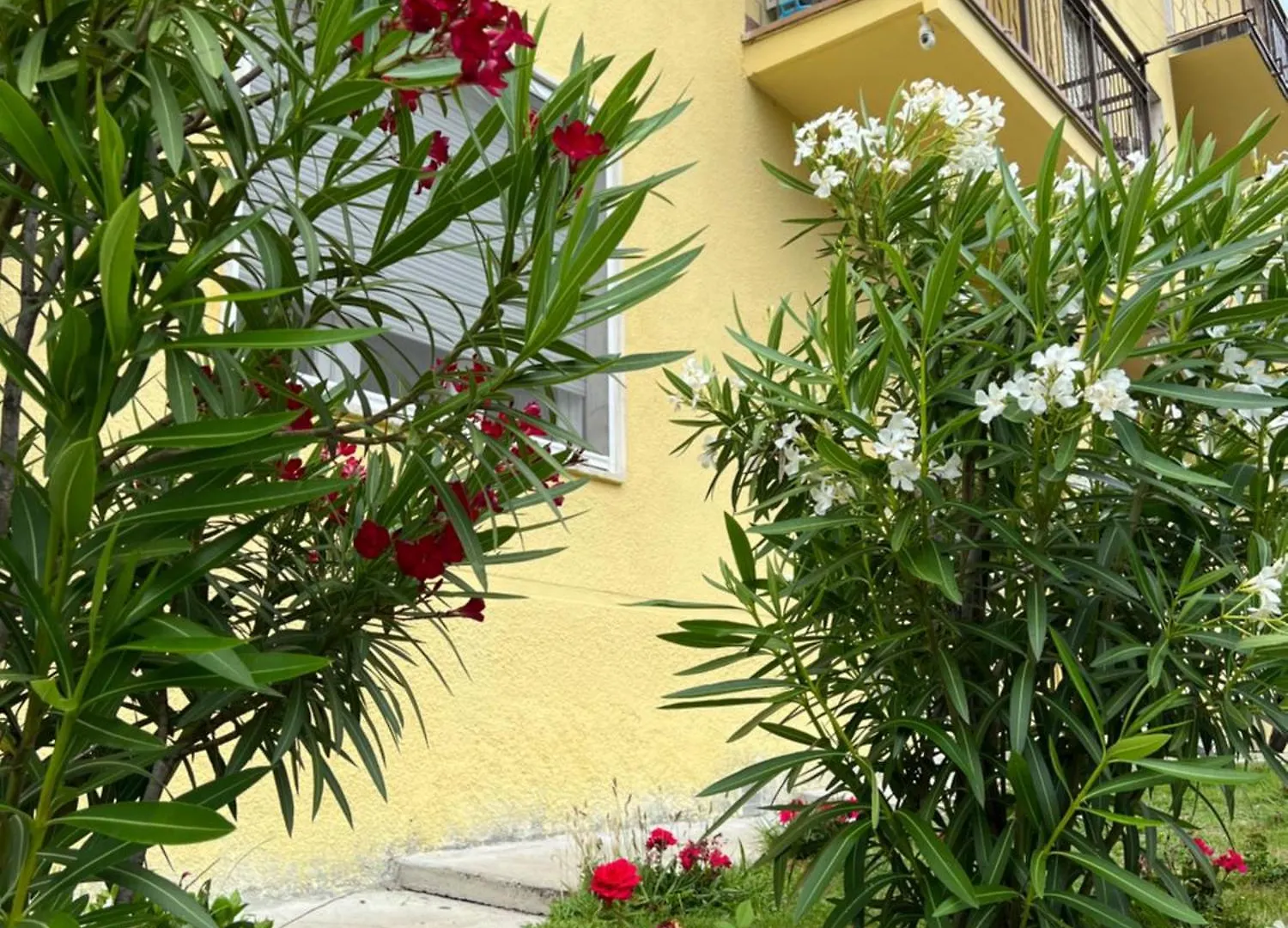 Casa R&E Villa Valbrona 0*,  Italy